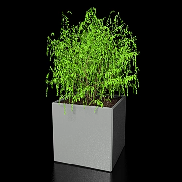 Tiny Greenery: Petite Plant 3D model image 1 