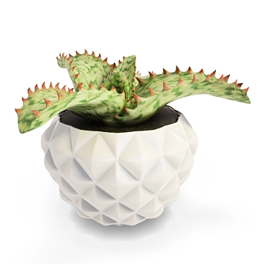 Lush Interior Aloe Plant Pot 3D model image 1 