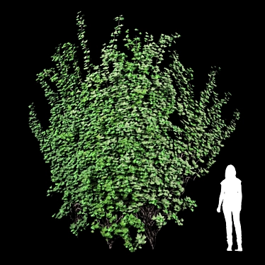 Curved Wall Ivy Creeper 3D model image 1 