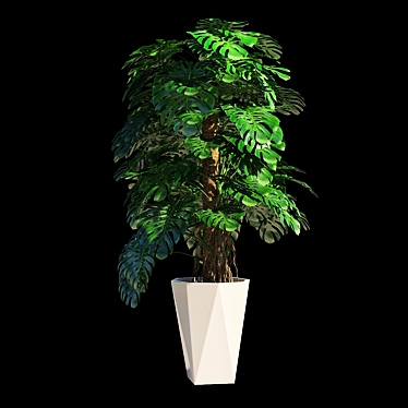 Tropical Majesty: Monstera Deliciosa 3D model image 1 