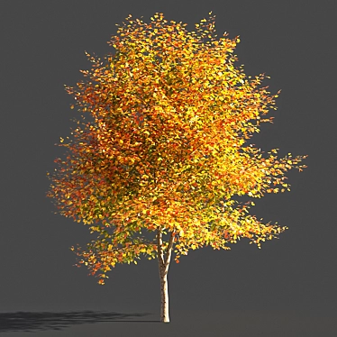 Elegant Tulip Tree Sculpture 3D model image 1 