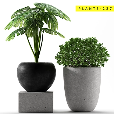 Tropical Greenery: 237 Varieties 3D model image 1 