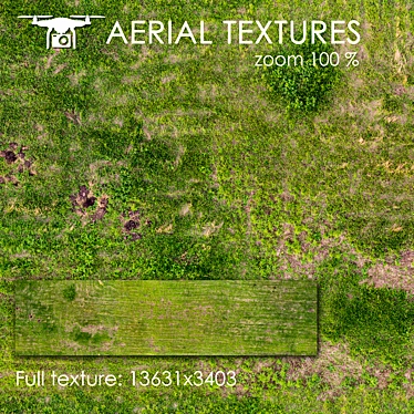 Aerial Grass Texture 3D model image 1 