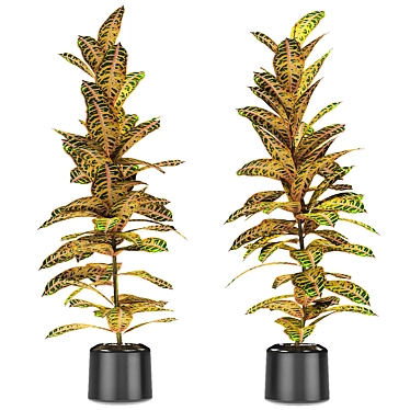 Exotic Plant in Pot: Tropical Elegance 3D model image 1 