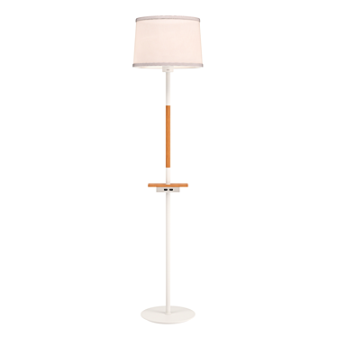 NORDICA2 Wooden Floor Lamp 3D model image 1 