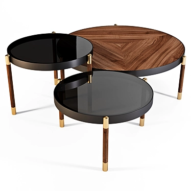 Sleek and Stylish: Meroni and Colzani Coffee Tables 3D model image 1 