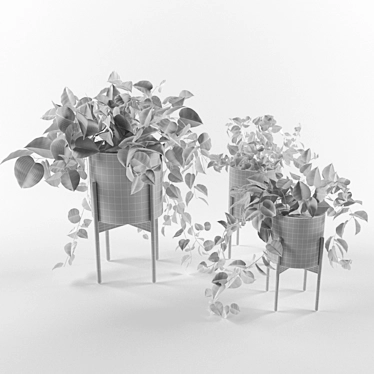 3Dmax 2013 Vray Obj Plants 3D model image 1 