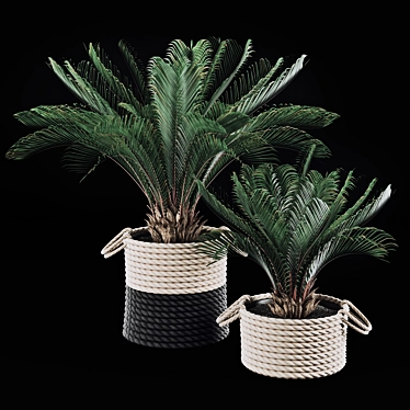 Tropical Palms in Baskets 3D model image 1 