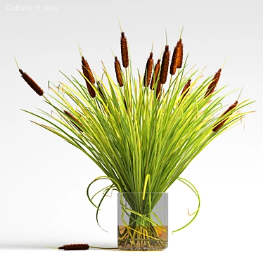 Title: Wild Mood Cattails in Vase 3D model image 1 