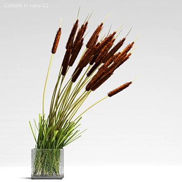 Natural Cattails in Glass Vase 3D model image 1 