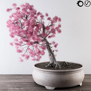 Pink Pine Bonsai: Vibrant, Versatile, and Ornamental 3D model image 1 