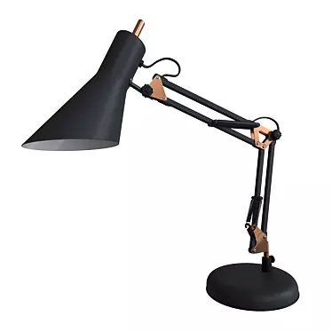 Black Metal Office Table Lamp: Norden 01032/1 3D model image 1 