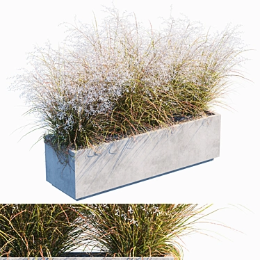 Flowering Miscanthus: Yard & Outdoor Plant 3D model image 1 