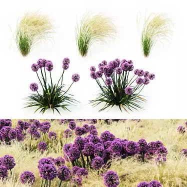 Procedural Landscape Elements: Grass & Allium Variations 3D model image 1 