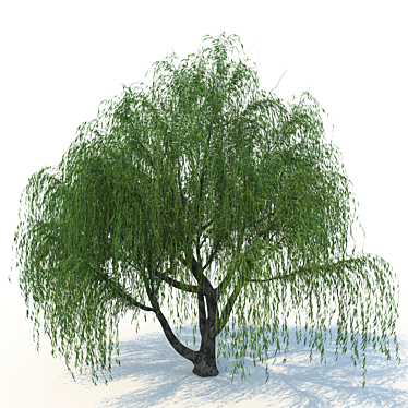 Willow Tree System Unit 3D model image 1 