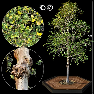 Realistic Tree Model for V-Ray & Corona 3D model image 1 