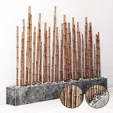 Bamboo Fundament: River Stone Elevation 3D model image 1 