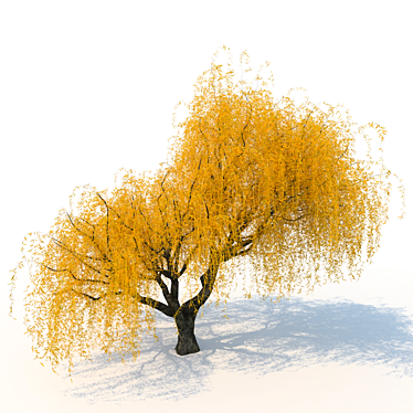 Willow Tree 3D Model Kit 3D model image 1 