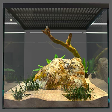 Terrarium for gecko