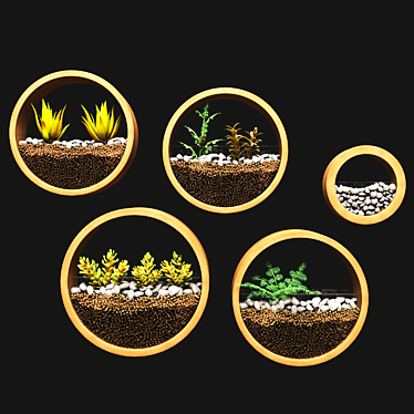 Ornamental Plant Collection 3D model image 1 