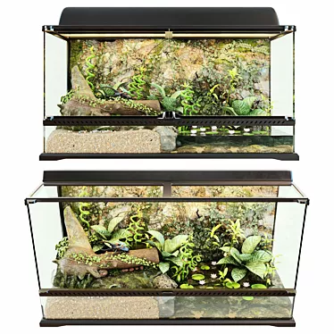 Luxurious Terrarium with Hercules Beetle and Red-Eyed Tree Frog 3D model image 1 