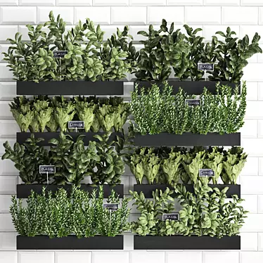 Vertical Garden: Exotic Houseplants & Herbs 3D model image 1 