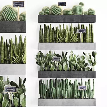 Vertical Oasis: Exotic Houseplants & Cacti 3D model image 1 