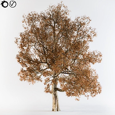 Autumn Tree Broadleaf: Burst of Colors! 3D model image 1 