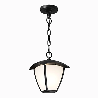 Lightstar Street Pendant Lamp 3D model image 1 