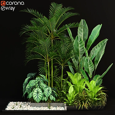 198 Plants Collection: Variety and Beauty 3D model image 1 