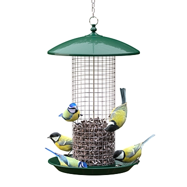 Garden Bird Feeder with Great Tits and Blue Tits 3D model image 1 