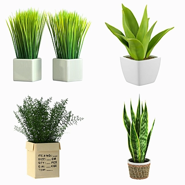 Green Oasis: Potted Houseplants 3D model image 1 