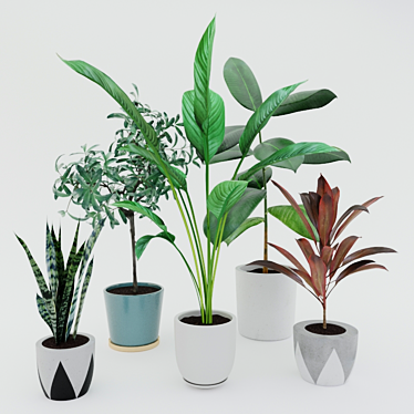 Modern Potted Plant Set 3D model image 1 