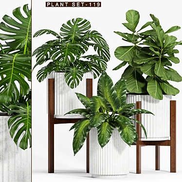 Botanical Bliss: Decorative Plant Set 3D model image 1 