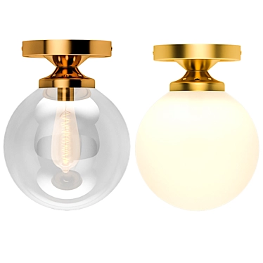 Sleek Globe Design Ceiling Light 3D model image 1 