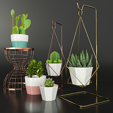 Designer's Indoor Plant Collection 3D model image 1 
