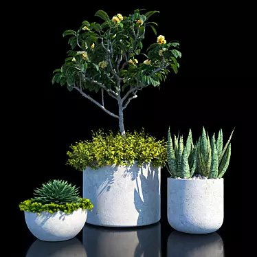 Assorted Plants Pack 3D model image 1 