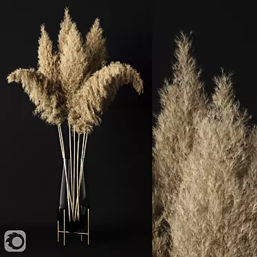 Elegant Pampas Arrangement in Glass 3D model image 1 