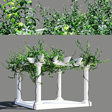 Trellis Jasmine Pergola: 5277 x 5974 x 4316mm 3D model image 1 