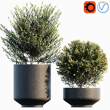 Garden Greenery in Pots 3D model image 1 