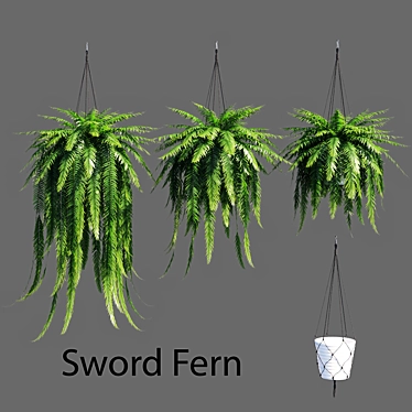 Vertex Color: High Poly Sword Fern 3D model image 1 