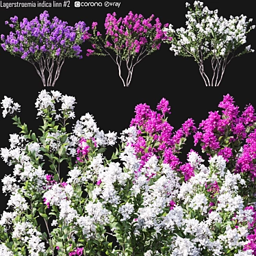 Crepemyrtle Tree Model for 3D Rendering 3D model image 1 