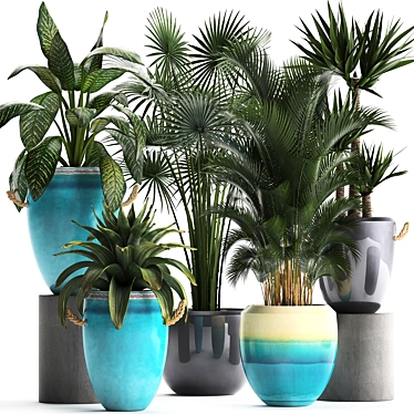 Exotic Houseplant Collection 3D model image 1 