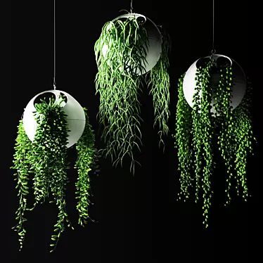  Stylish Hanging Plants in Spherical Planters 3D model image 1 