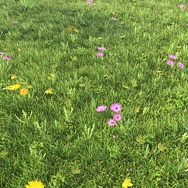 Realistic Grass Landscaping Model 3D model image 1 