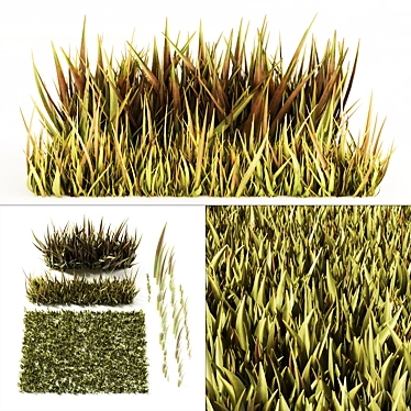  High-Quality 3D Grass Model 3D model image 1 