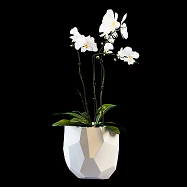 Elegant Floral Arrangement 3D model image 1 