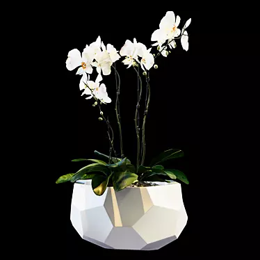 Elegant Blooming Bouquet 3D model image 1 