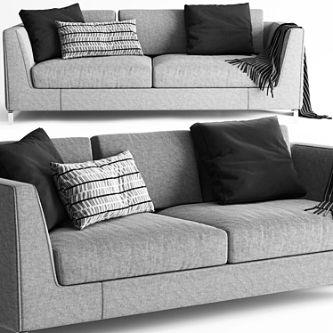 Elegant Ray Sofa by B&B Italia 3D model image 1 