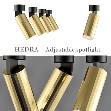 Hedra Adjustable Spotlight: Versatile and Stylish 3D model image 1 